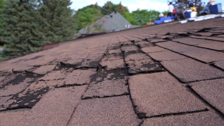 4 Ply Roofing in Greenville, MI