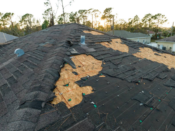 Best Flat Roofing  in Greenville, MI