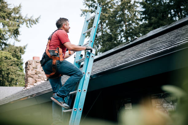 Best Chimney Flashing Repair  in Greenville, MI