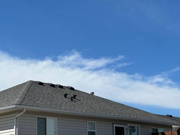Best Rubber Roofing (EPDM, TPO)  in Greenville, MI
