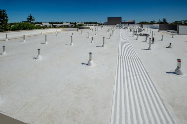 Best Roof Ventilation Installation  in Greenville, MI